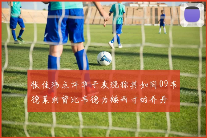 张佳玮点评华子表现称其如同09韦德莱利曾比韦德为矮两寸的乔丹